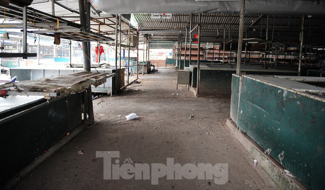  Chợ hoa lớn nhất Hà Nội đóng cửa chuyển sang bán hàng trực tuyến - Ảnh 9.